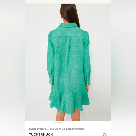 Tuckernuck Callahan Shirt Dress in Sea Green - Picture 4 of 9